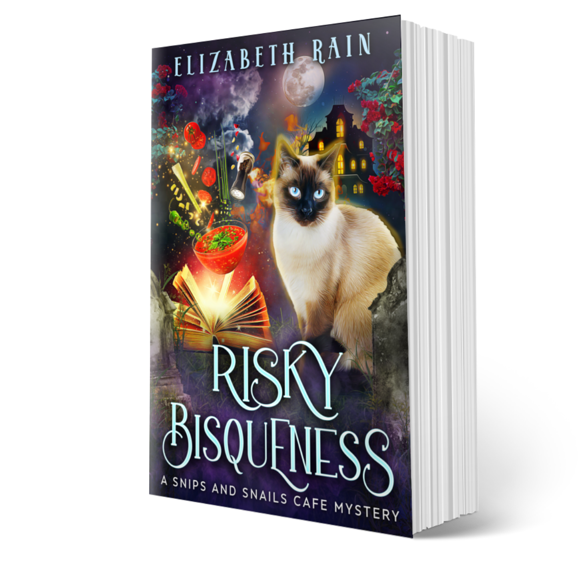 Risky Bisqueness (Paperback)