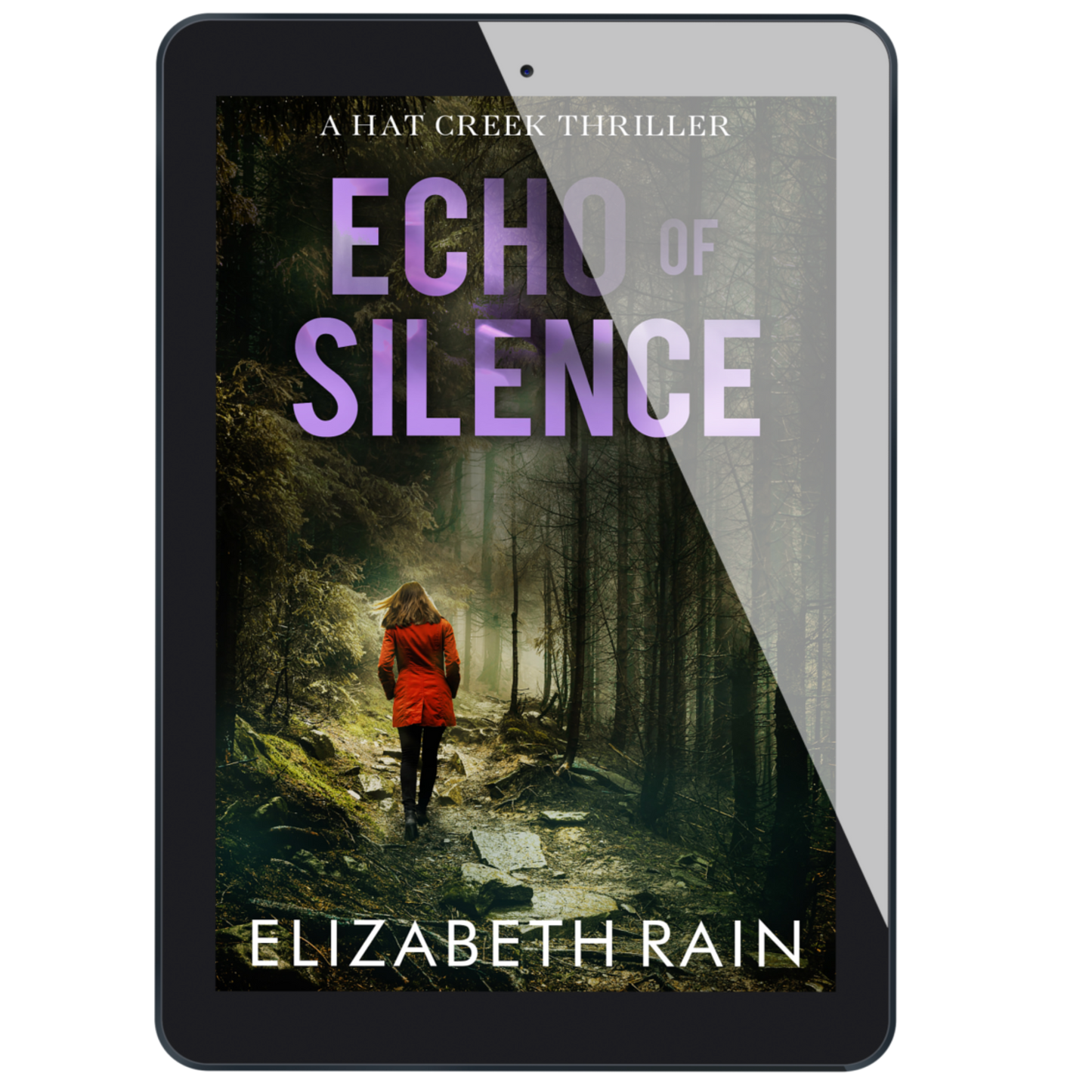 ECHO OF SILENCE (eBook)